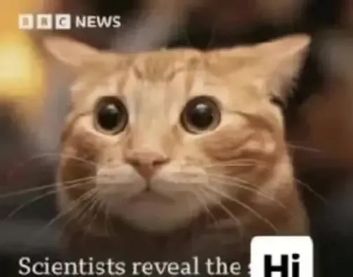 Scentists reveal the hi